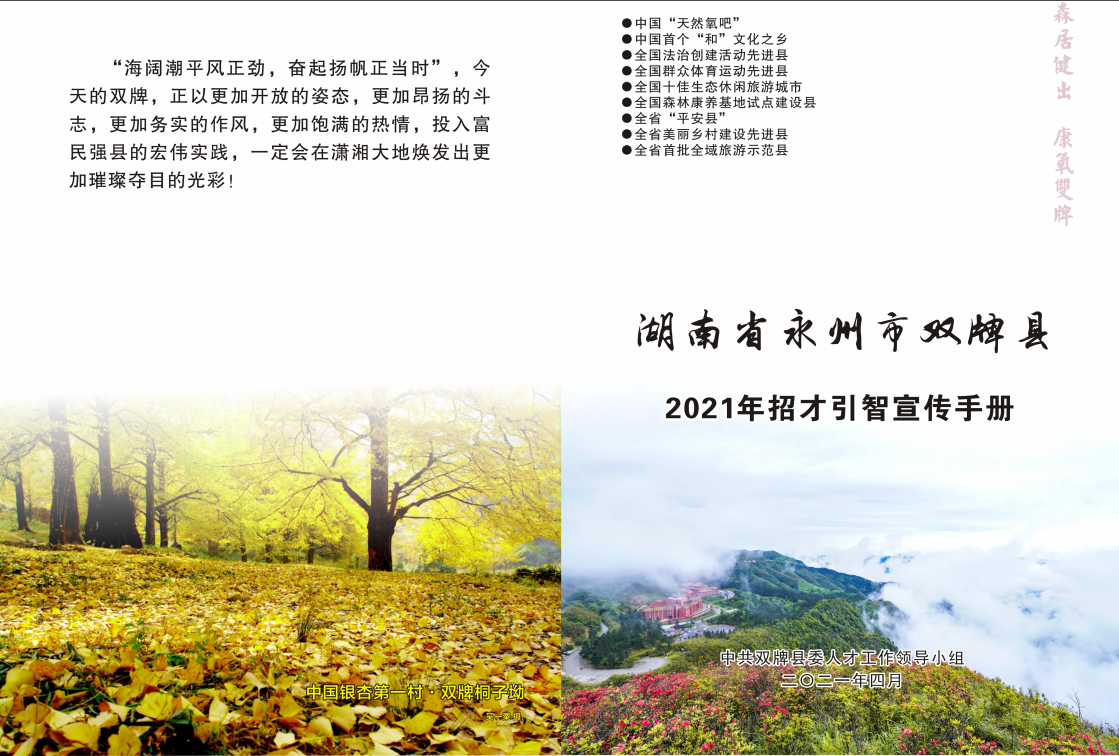 中共双牌县委2021年招才引智方案